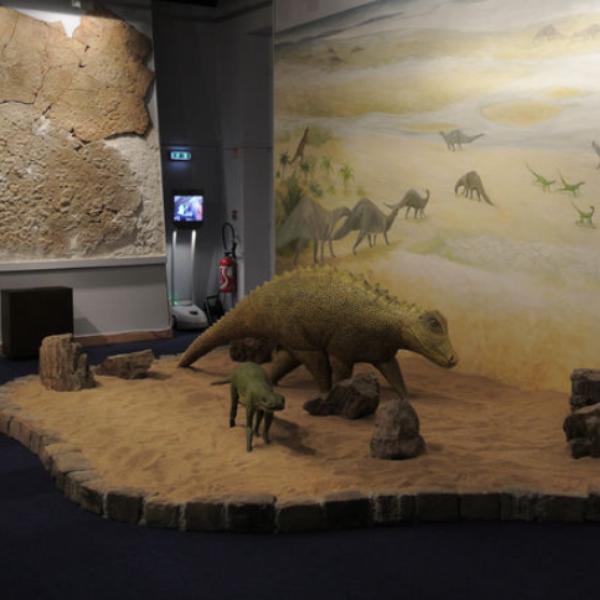<p><em><strong>Diorama : the Jurassic</strong></em></p>