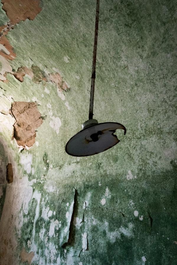 <p>A l'intérieur d'une cellule</p>